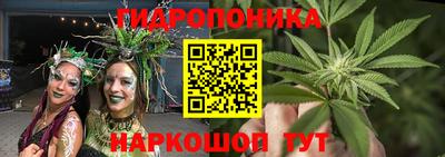 трава Славянск-на-Кубани