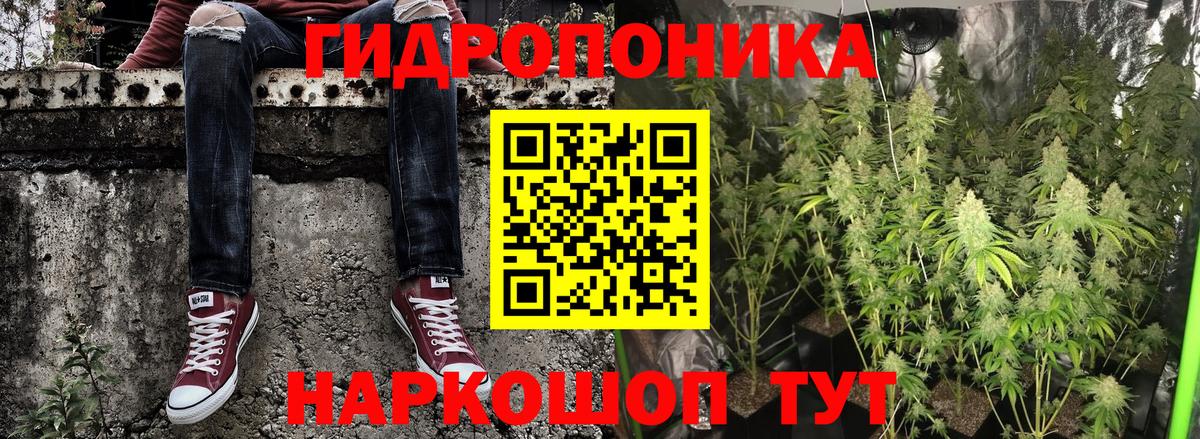Конопля тримм  Конопля White Widow  Отрадное  МАРИХУАНА MAZAR  Вход с VPN 
